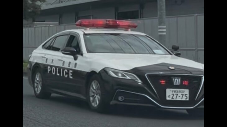 緊急走行！緊走する栃木県警のパトカー