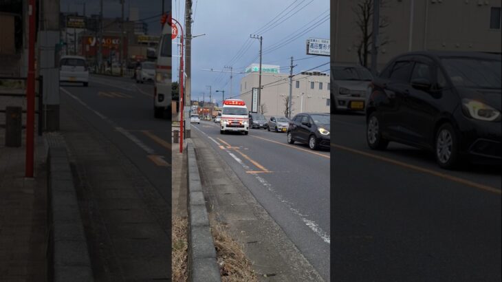 モーターサイレン全開で交差点に侵入🚨　#救急車#緊急走行#モーターサイレン