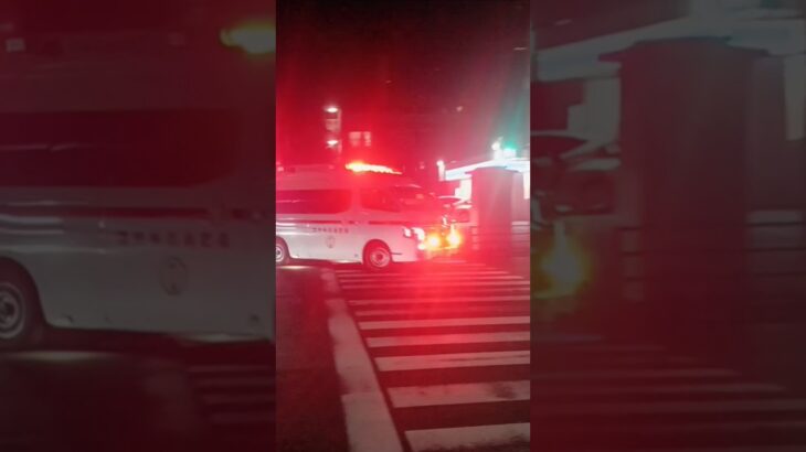 【緊急走行】米盛病院へ救急搬送!鹿児島市消防局伊敷救急隊