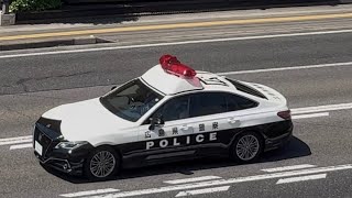 パトカー　緊急走行