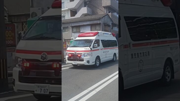 【緊急走行】引き揚げ中に救急出場!鹿児島市消防局南林寺救急隊