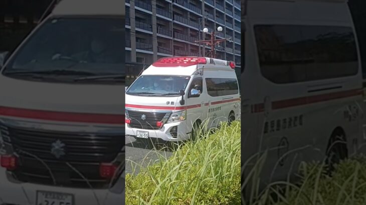 【緊急走行】市立病院へ救急搬送!鹿児島市消防局伊敷救急隊