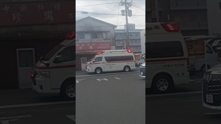 【緊急走行】アクティビーコン！鹿児島市消防局甲南救急隊