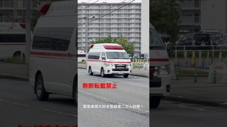救急車緊急走行🚨