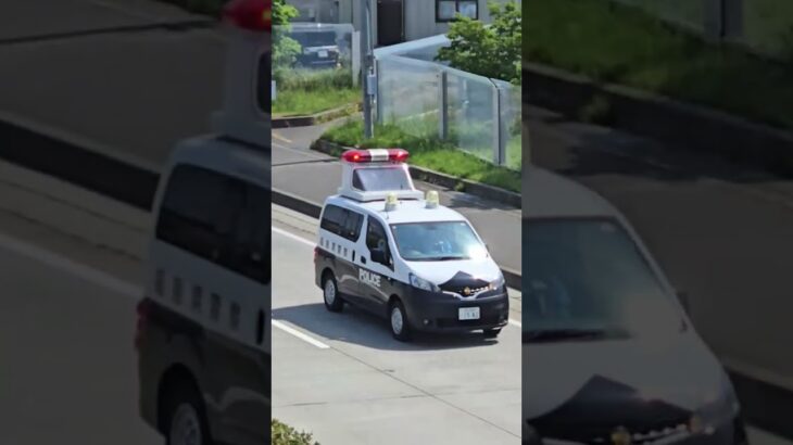 郡山北警察署事故処理車緊急走行🚓