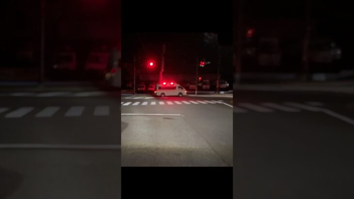 コンフォートサイレンを鳴らし緊急走行 アクティビーコン ハイメディック救急車【善行救急隊・藤沢市消防局】
