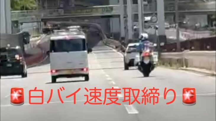 🚨激録🚨白バイの速度取締り🚨白バイ🚨赤色灯🚨兵庫県警🚨 #白バイ #白バイ隊員 #速度取締り #兵庫県警