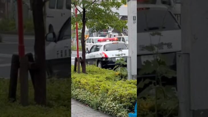 柏警察署　スズキスイフトパトカー　雨の中を警戒走行