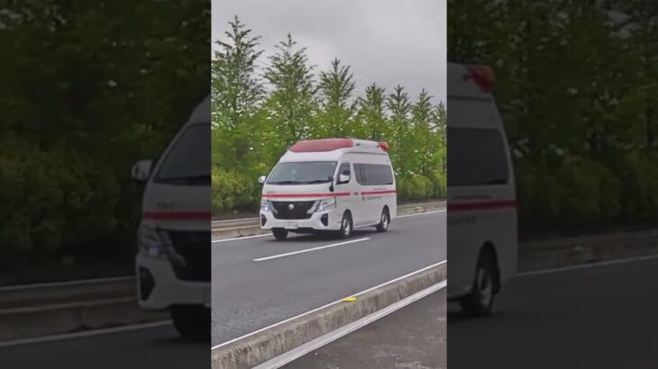 救急モルカー(救急車)出動