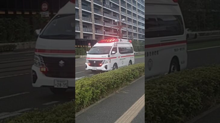 【緊急走行】市立病院へ救急搬送!鹿児島市消防局谷山北救急隊