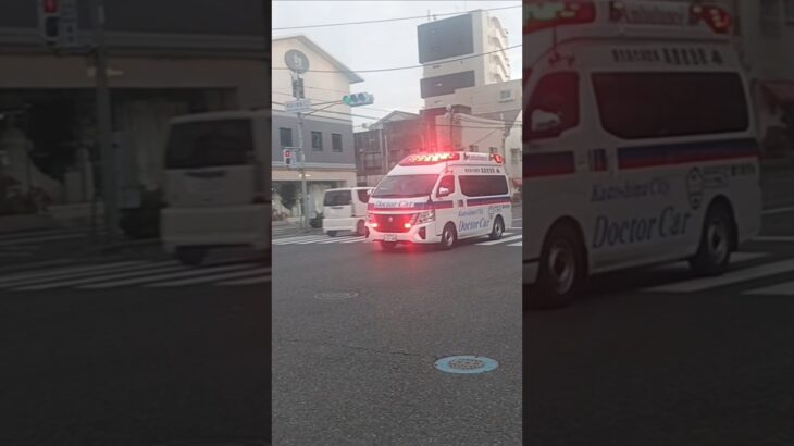 【緊急走行】ドクターカー支援!鹿児島市消防局高度救急隊ドクターカー