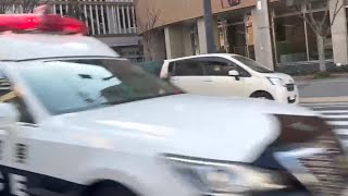 パトカー　緊急走行