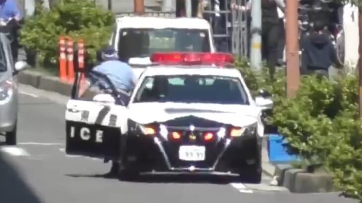 🚨違反者を捕まえるパトカー🚨赤色灯🚨兵庫県警🚨 #パトカー #交通違反 #取締り #兵庫県警 #赤色灯