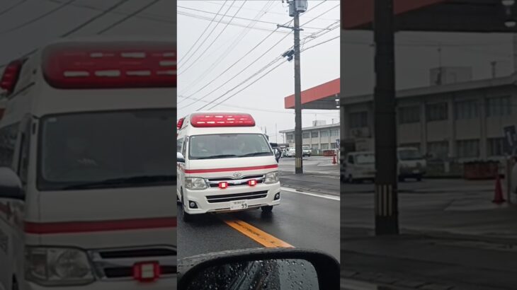 【緊急走行】ハーモニックサイレン!鹿児島徳洲会病院ドクターカー