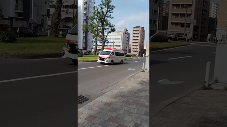 救急車緊急走行 #札幌市消防局 #救急車 #緊急走行