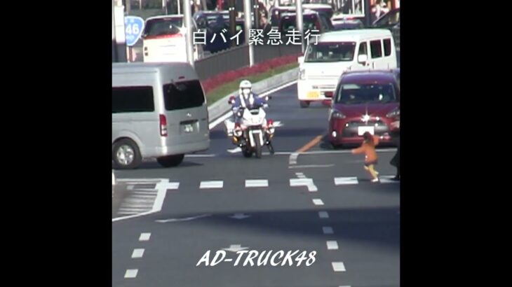 さあ急げ！大通りを緊急走行で応援に向かう交機の白バイ