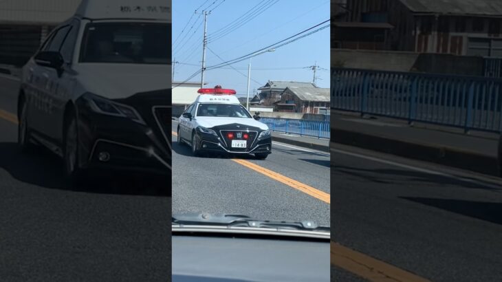 【緊急走行】マイクでお礼を言う、栃木県警察パトカー
