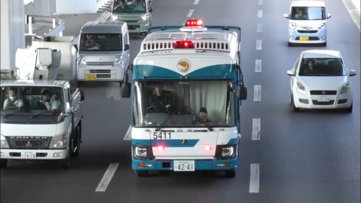 🚨護送車🚨人員輸送車🚨走行動画🚨兵庫県警🚨 #護送車 #人員輸送車 #兵庫県警 #赤色灯 #パトカー