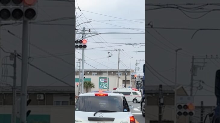 アクティビーコン搭載ハイメディック救急車 原宿交差点を緊急走行で通過【横浜市消防局】