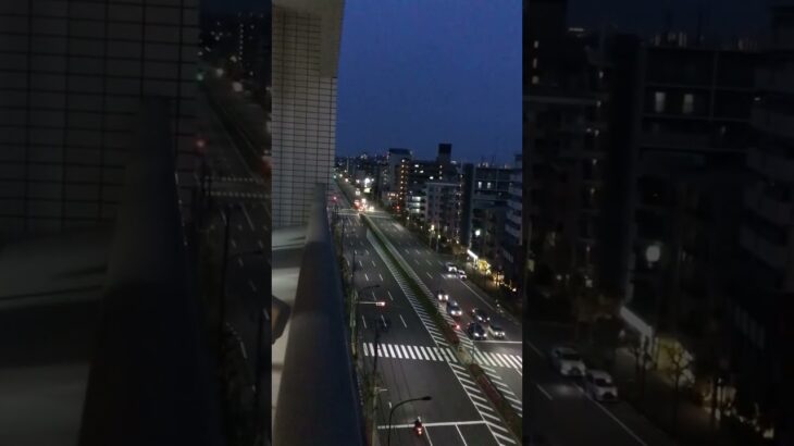 救急車🚑緊急走行🦺🚨