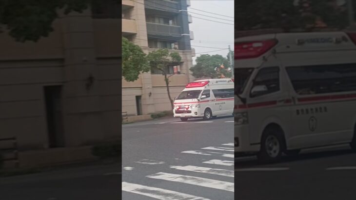 【緊急走行】鹿児島市消防局谷山北非常用救急隊（郡元救急代車運用中）