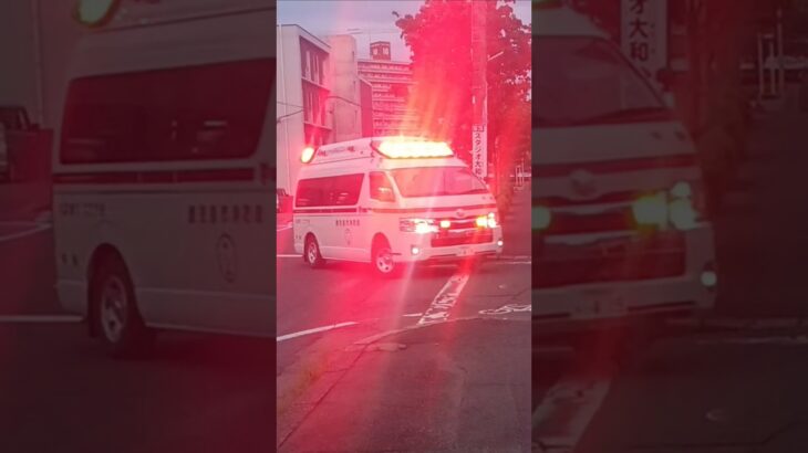 【緊急走行】西救急不在の為甲南から出場！鹿児島市消防局甲南救急隊