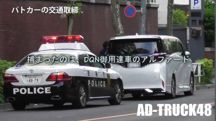 四国の人は並ぶのが嫌いなの？迷いも無く直進レーンから信号無視で左折したアルファード！到着したばかりのパトカー緊急走行で検挙