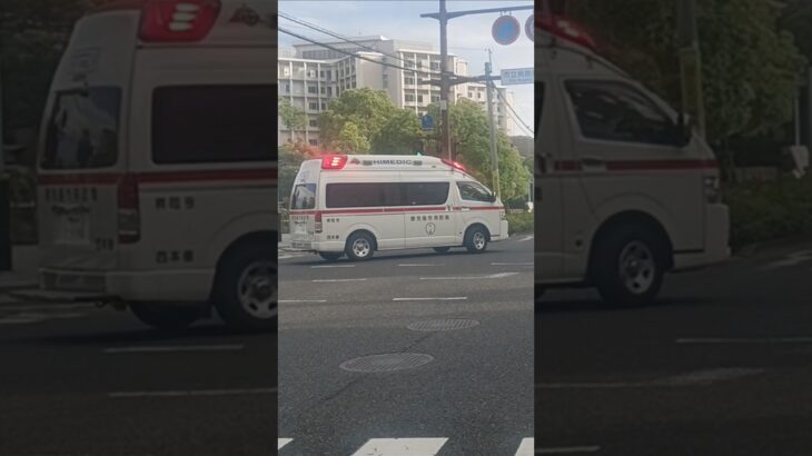 【緊急走行】市立病院へ救急搬送!鹿児島市消防局西本署救急隊