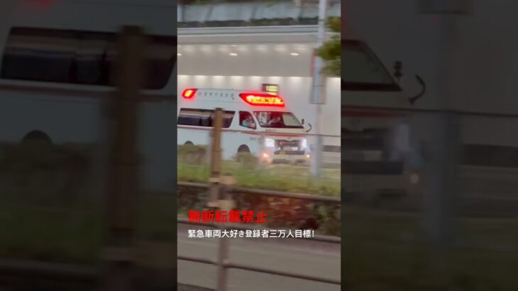 救急車緊急走行🚨