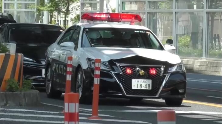 🚨パトカー🚨赤色灯🚨兵庫県警🚨 #パトカー #兵庫県警