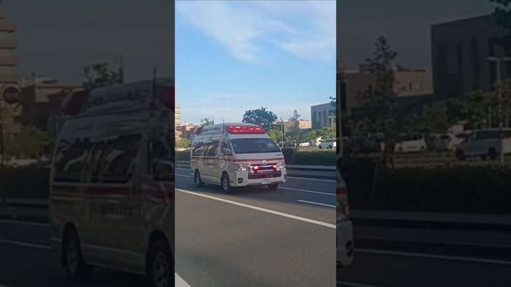 【緊急走行】市立病院へ救急搬送！鹿児島市消防局南林寺救急隊