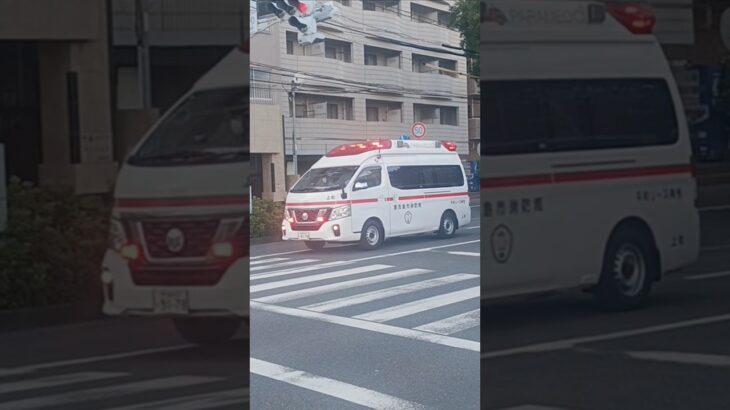【緊急走行】モーターサイレン吹鳴!鹿児島市消防局上町救急隊