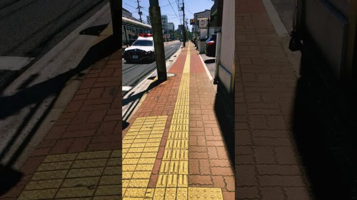 実は🔥重大事件です🔥パトカー！重罪犯を追跡中？キケンが危ない⚠️