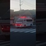 【緊急走行】新型パラメ交差点進入！鹿児島市消防局郡山救急隊