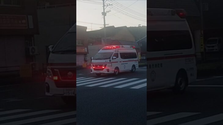 【緊急走行】新型パラメ交差点進入！鹿児島市消防局郡山救急隊