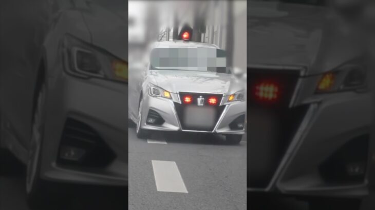 【サイレン‼️】覆面パトカー vs 速いフィット‼️ #shorts