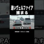 覆面パトカー vs 速いヴェルファイア‼️ #取り締まり #shorts