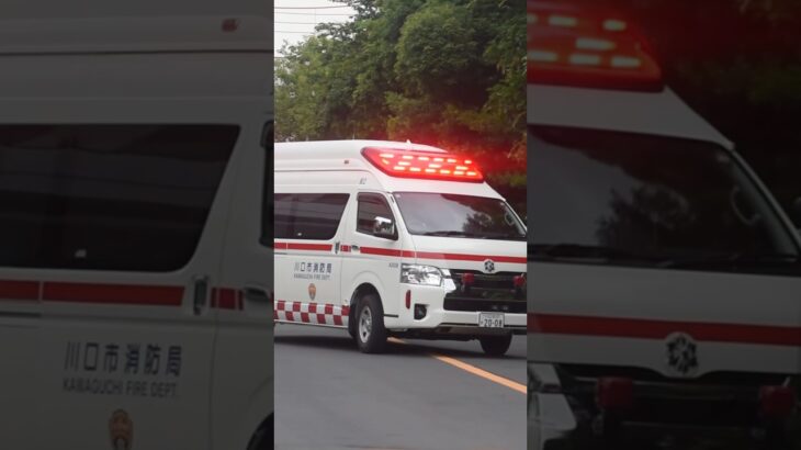 【新しい救急車🚑】川口市消防局　救急車　救急安行2。出場シーン！