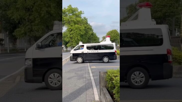【事故処理車】2台連続緊急走行、柏警察署から緊急出向