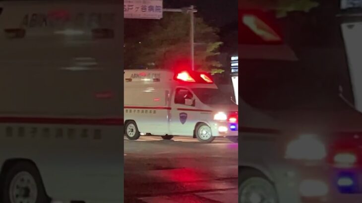 我孫子市消防本部　東消防署湖北分署　救急車　緊急走行　（撮影日2025 4/21）