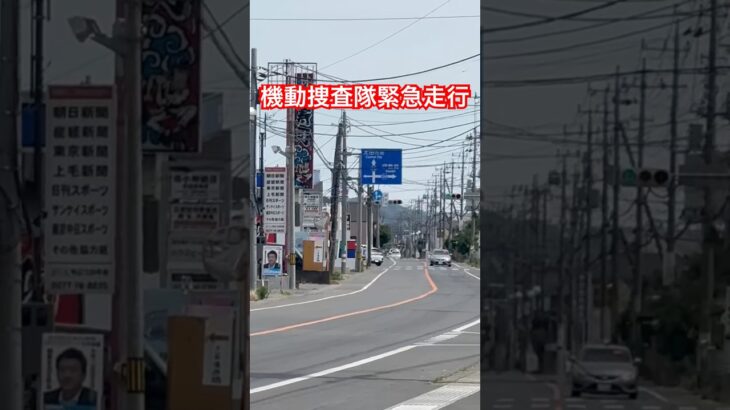 群馬県警機動捜査隊覆面パトカー緊急走行🚨撮影者『さくらゆり隊』投稿者『ゆう』投稿日2026/06/02#群馬県警 #機動捜査隊#覆面パトカー #緊急走行 #警察  チャンネル登録よろしくねSRT😀