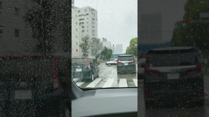 愛知県警210系クラウンパトカー緊急走行