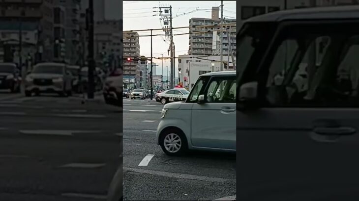 広島県警 210系クラウン 緊走 #shorts #パトカー #緊急走行