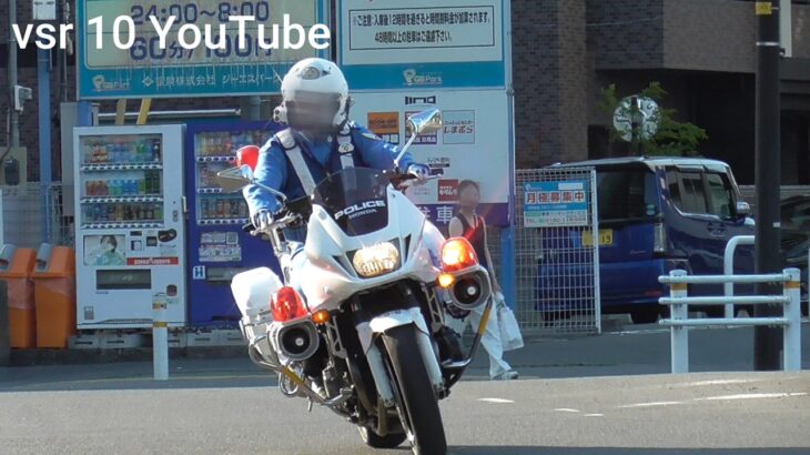 カッコ良さがエグい！！2台の白バイが緊急走行！！一時停止ぶっちぎり車両を猛追！！•女性ドライバーが白バイに猛抗議！！「止まりました！」BBAのごねりは長い！
