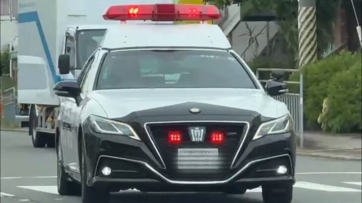 🚨パトカー🚨走行動画🚨4連発🚨赤色灯🚨 #パトカー #赤色灯 #兵庫県警
