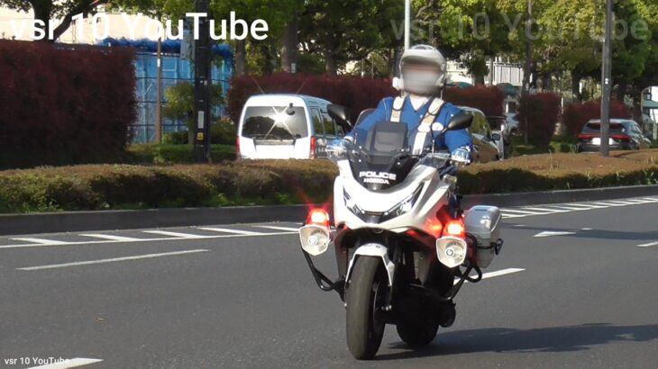 完全ノーブレーキBBA！！白バイのサイレンが鳴り苦悶の表情！•そのスピードはエグいだろ！女性が思わず足を止め、白バイが追走•一時停止とスマホでダブル違反！•高齢ドライバーが歩行者スレスレ等
