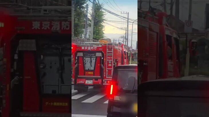 東京消防庁 福生消防署                       化学機動中隊 (福生CS  福生1) 緊急走行    #東京消防庁 #消防車 #緊急走行 #福生市
