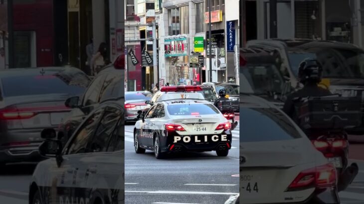 【緊迫の瞬間】東京・六本木交差点を激走する日本のパトカー！ / [Tokyo Police Car] Racing through the famous Roppongi Crossing!
