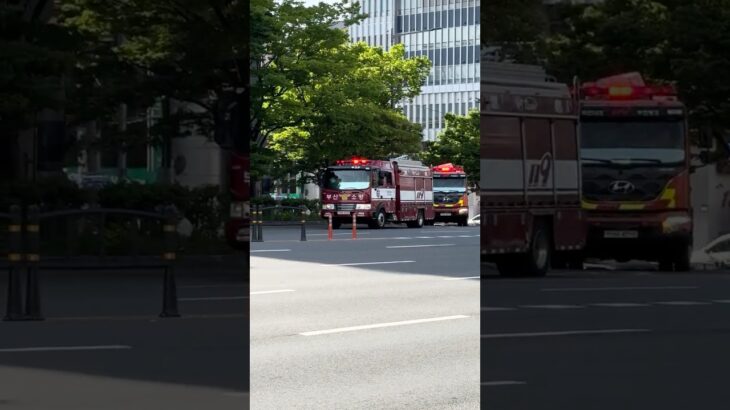 韓国釜山鎮(プサンジン)消防署所属　ポンプ車、タンク車緊急出動#消防車 #韓国 #緊急車両 #緊急走行 #緊急出動 #消防 #firetruck #korea #소방차 #긴급출동#shorts