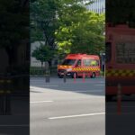 韓国釜山鎮(プサンジン)消防署所属の指揮者、はしご車、救急車緊急出動#韓国 #消防車 #救急車 #緊急出動 #緊急走行 #緊急車両 #firetruck #korea #소방차 #shorts